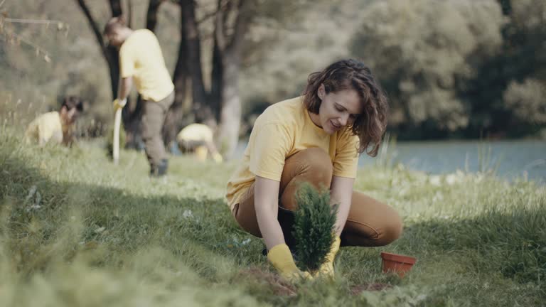 Best Tree and Shrub Care  in Tuckahoe, NY